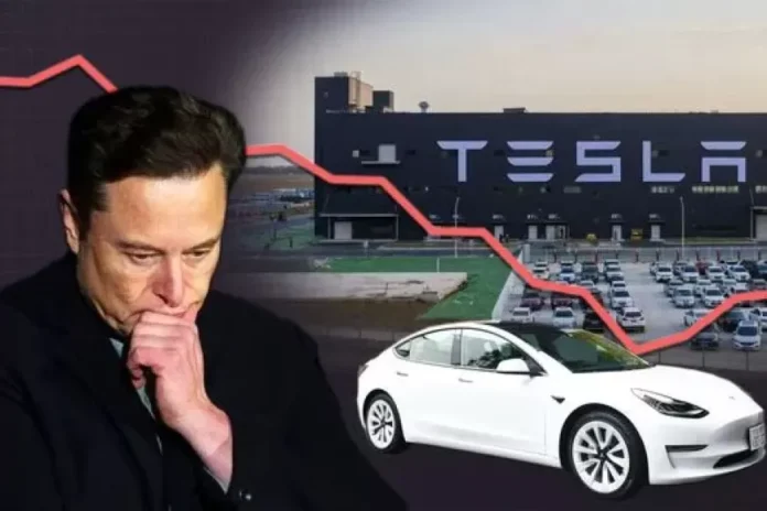 Tesla Stock Drops 10% After Mixed Q2 Results; Affordable EVs and Robotaxi Reveal Set for 2025
