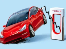 Tesla Stock Drops as Profit Margins Fall, Emphasizing Need for Cheaper EVs
