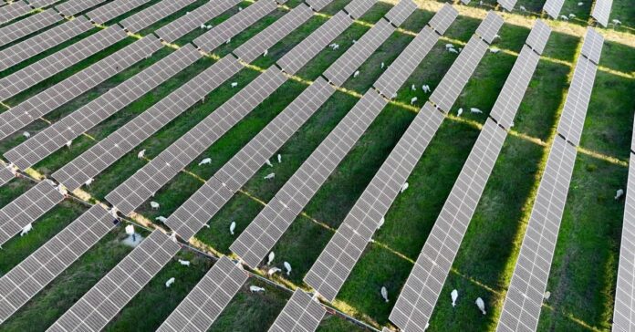 Solar adds more new capacity to the US grid in 2024 than any energy source in 20 years