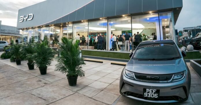 BYD opens shop in the Caribbean with 10 new markets planned by the end of 2024