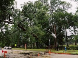Houston’s post-Beryl outages highlight benefits of distributed energy