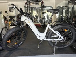 Cycrown Verve Ebike Review